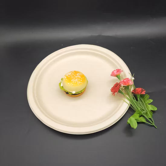 Bandeja de prato de sushi descartável para viagem de alta qualidade com tampa