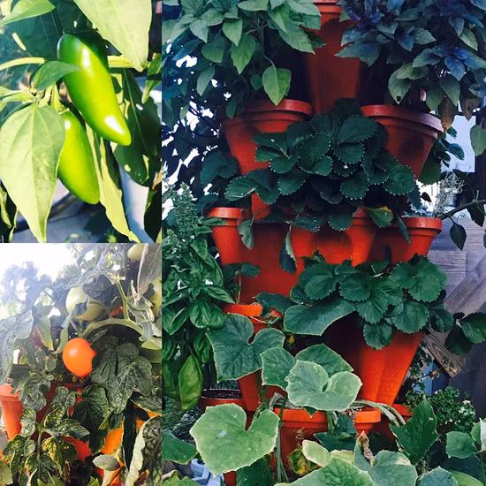 Conjunto de caixa de floreira empilhável vertical multicamada empilhável vertical floreira de plástico nível torre de jardim vaso de flores